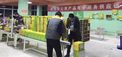 借力農村電商&ldquo;東風&rdquo;助推金堂柑橘銷往全國