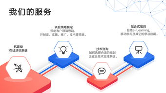 藍(lán)色商務(wù) 引領(lǐng)未來(lái)的電子商務(wù)技術(shù)服務(wù)商